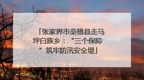 张家界市桑植县走马坪白族乡：“三个保障”筑牢防汛安全堤