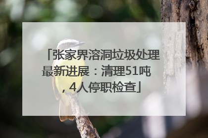 张家界溶洞垃圾处理最新进展：清理51吨，4人停职检查