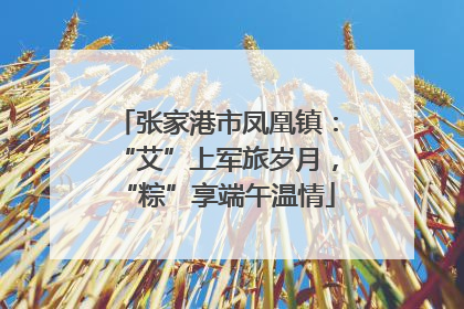 张家港市凤凰镇：“艾”上军旅岁月，“粽”享端午温情