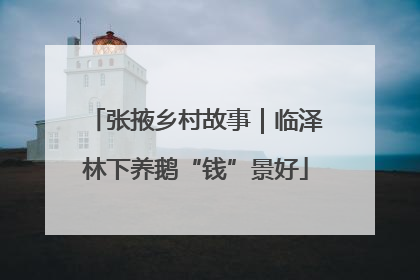 张掖乡村故事｜临泽林下养鹅“钱”景好