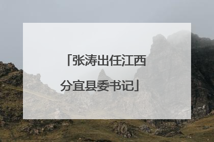 张涛出任江西分宜县委书记