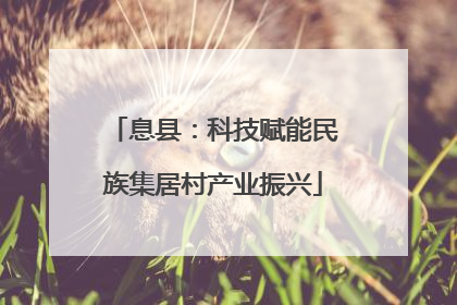 息县：科技赋能民族集居村产业振兴