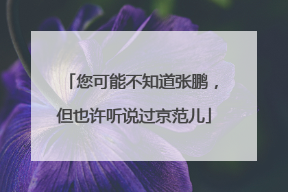 您可能不知道张鹏，但也许听说过京范儿