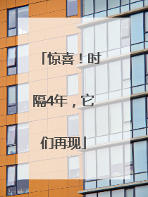 惊喜！时隔4年，它们再现