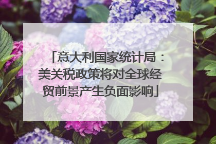 意大利国家统计局：美关税政策将对全球经贸前景产生负面影响