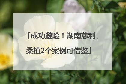 成功避险！湖南慈利、桑植2个案例可借鉴