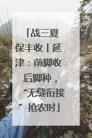 战三夏 保丰收丨延津：前脚收 后脚种，“无缝衔接”抢农时