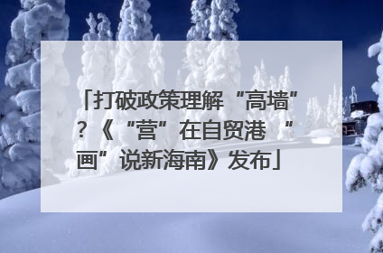 打破政策理解“高墙”？《“营”在自贸港 “画”说新海南》发布