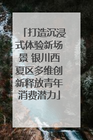 打造沉浸式体验新场景 银川西夏区多维创新释放青年消费潜力
