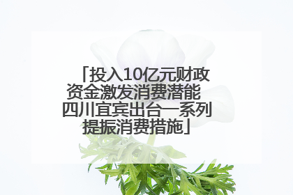投入10亿元财政资金激发消费潜能 四川宜宾出台一系列提振消费措施