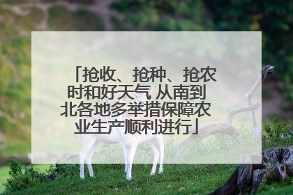 抢收、抢种、抢农时和好天气 从南到北各地多举措保障农业生产顺利进行