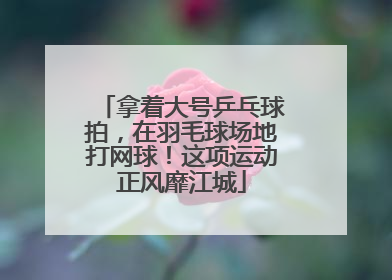 拿着大号乒乓球拍，在羽毛球场地打网球！这项运动正风靡江城