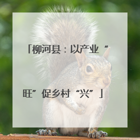 柳河县：以产业“旺”促乡村“兴”