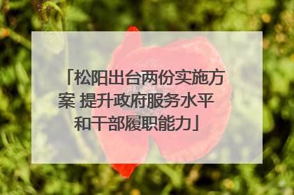 松阳出台两份实施方案 提升政府服务水平和干部履职能力
