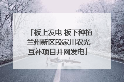 板上发电 板下种植 兰州新区段家川农光互补项目并网发电