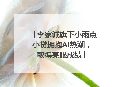 李家诚旗下小雨点小贷拥抱AI热潮，取得亮眼成绩