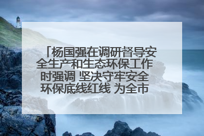 杨国强在调研督导安全生产和生态环保工作时强调 坚决守牢安全环保底线红线 为全市经济社会高质量发展提供坚强保障