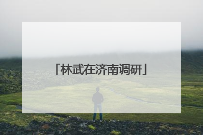 林武在济南调研