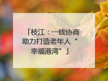 枝江：一线协商助力打造老年人“幸福港湾”