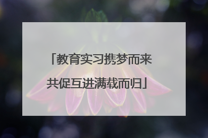 教育实习携梦而来 共促互进满载而归
