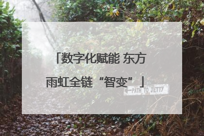 数字化赋能 东方雨虹全链“智变”