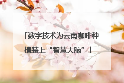 数字技术为云南咖啡种植装上“智慧大脑”