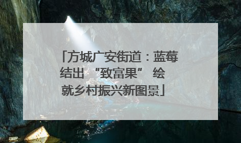 方城广安街道：蓝莓结出 “致富果” 绘就乡村振兴新图景
