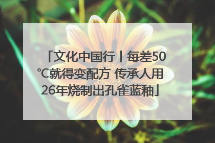 文化中国行丨每差50℃就得变配方 传承人用26年烧制出孔雀蓝釉