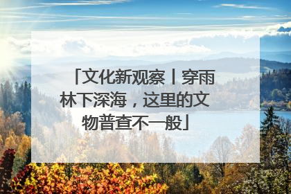 文化新观察丨穿雨林下深海，这里的文物普查不一般