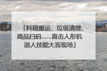 料箱搬运、垃圾清理、商品扫码……直击人形机器人技能大赛现场