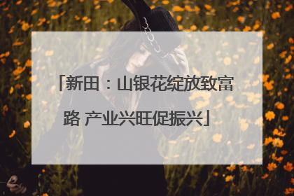 新田：山银花绽放致富路 产业兴旺促振兴