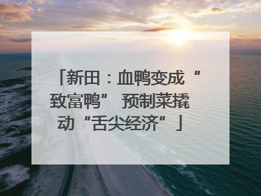 新田：血鸭变成“致富鸭” 预制菜撬动“舌尖经济”