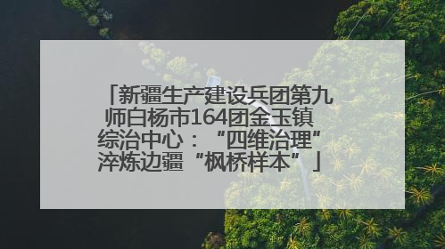 新疆生产建设兵团第九师白杨市164团金玉镇综治中心：“四维治理”淬炼边疆“枫桥样本”