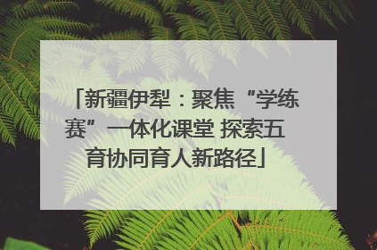 新疆伊犁：聚焦“学练赛”一体化课堂 探索五育协同育人新路径