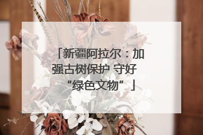 新疆阿拉尔：加强古树保护 守好“绿色文物”