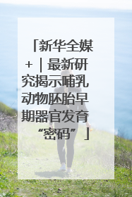 新华全媒+｜最新研究揭示哺乳动物胚胎早期器官发育“密码”
