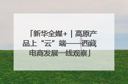 新华全媒+｜高原产品上“云”端——西藏电商发展一线观察
