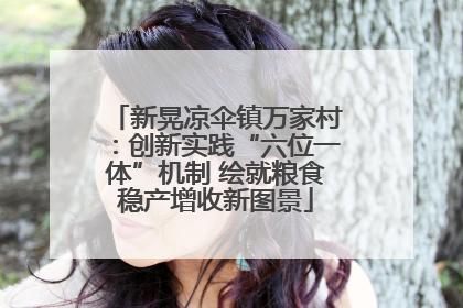 新晃凉伞镇万家村：创新实践“六位一体”机制 绘就粮食稳产增收新图景
