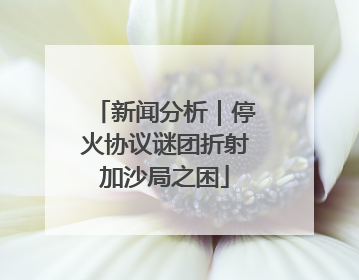 新闻分析｜停火协议谜团折射加沙局之困