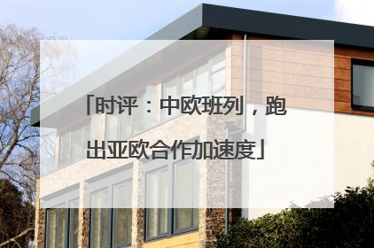 时评：中欧班列，跑出亚欧合作加速度