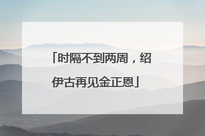 时隔不到两周，绍伊古再见金正恩
