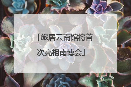 旅居云南馆将首次亮相南博会