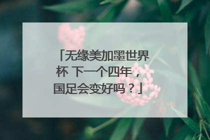 无缘美加墨世界杯 下一个四年，国足会变好吗？