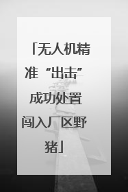 无人机精准“出击” 成功处置闯入厂区野猪