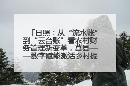 日照：从“流水账”到“云台账”看农村财务管理新变革，莒县——数字赋能激活乡村振兴“一池春水”