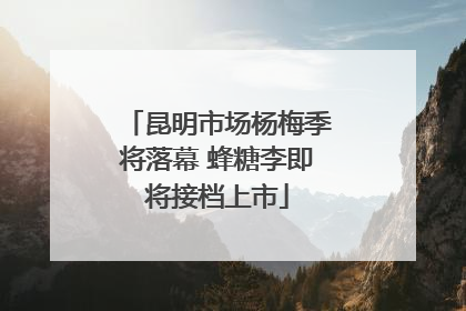 昆明市场杨梅季将落幕 蜂糖李即将接档上市