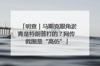 明查｜马斯克眼角淤青是特朗普打的？网传截图是“高仿”