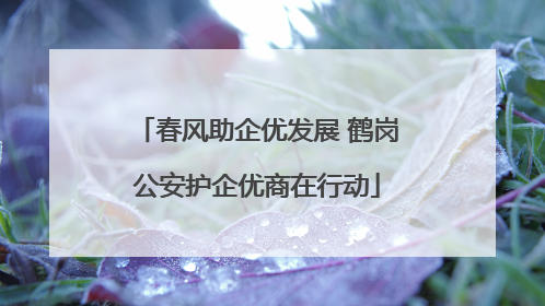 春风助企优发展 鹤岗公安护企优商在行动