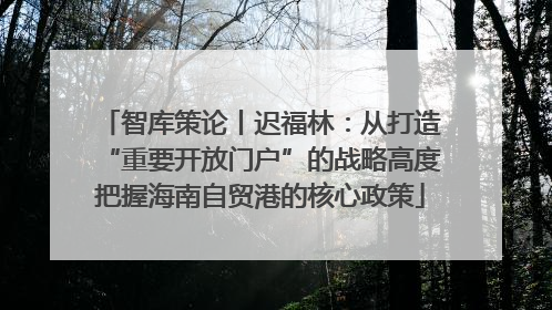 智库策论丨迟福林：从打造“重要开放门户”的战略高度把握海南自贸港的核心政策