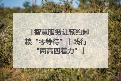 智慧服务让预约卸粮“零等待”丨践行“两高四着力”